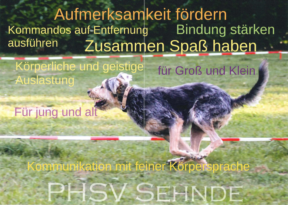 flyerVS
